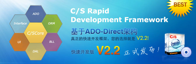 C/S系统开发框架标准版V2.2